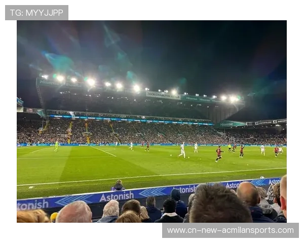 精彩回放:那些令球迷热血沸腾的瞬间!,球迷狂热 精彩回放:那些令球迷热血沸腾的瞬间!,球迷狂热