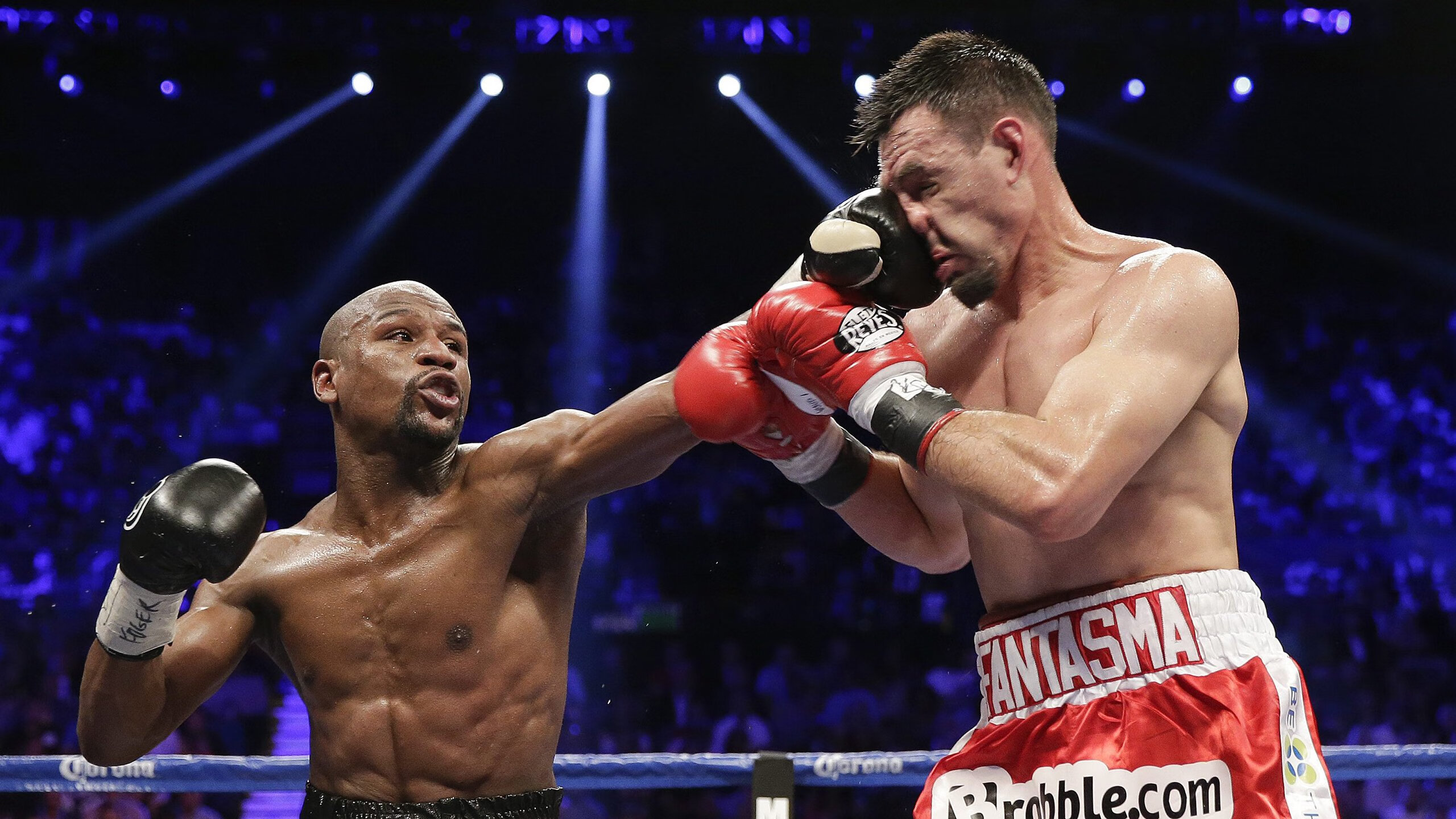 南非橄榄球赛事票房创历史新高,市场吸引力增强,南非橄榄球世界杯冠军真实的故事 电影